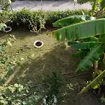 Zikas * 马尔马里