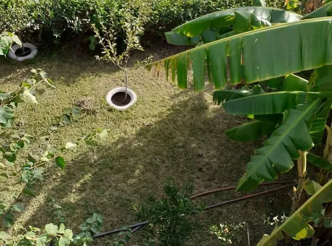 Zikas * Marmari (Kos)