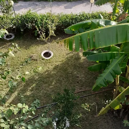 Zikas * Μαρμάρι