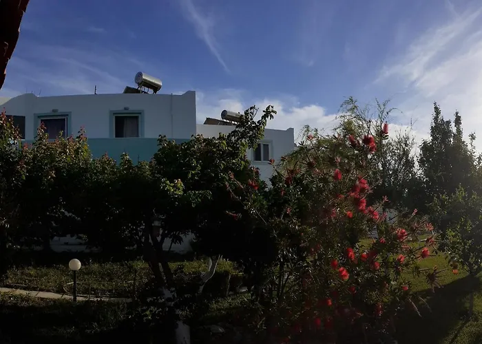 Zikas * Marmari (Kos)