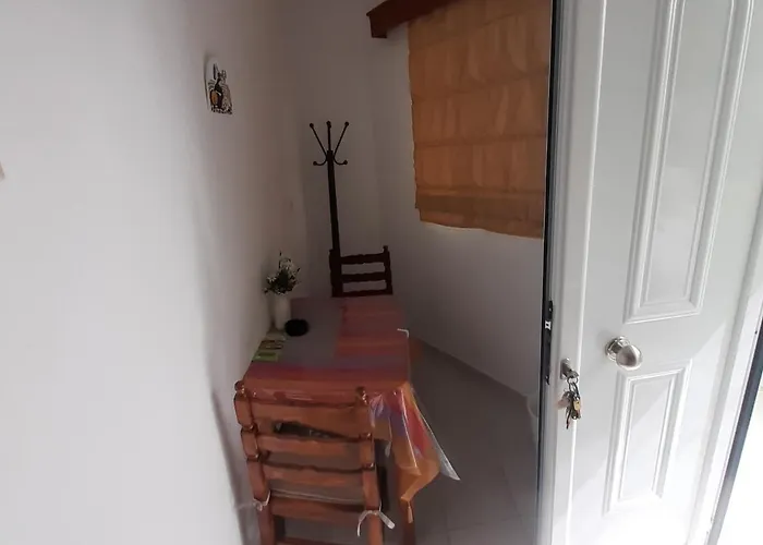 Zikas *